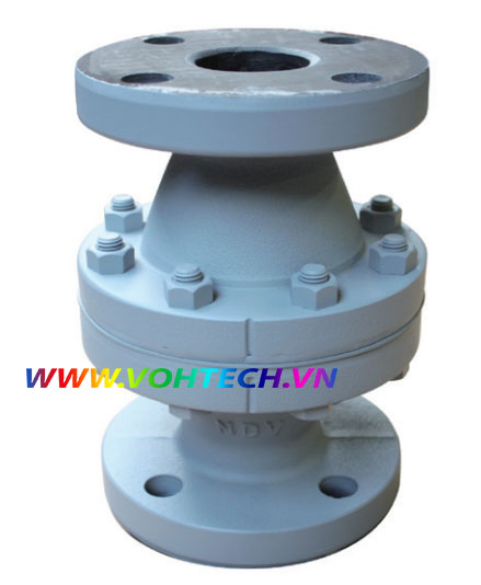 Ball Check Valves - B900 Series