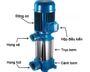Máy bơm ly tâm trục đứng là gì? Cấu tạo, nguyên lý, ứng dụng của Bơm Ly Tâm
