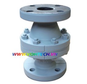 Ball Check Valves - B900 Series